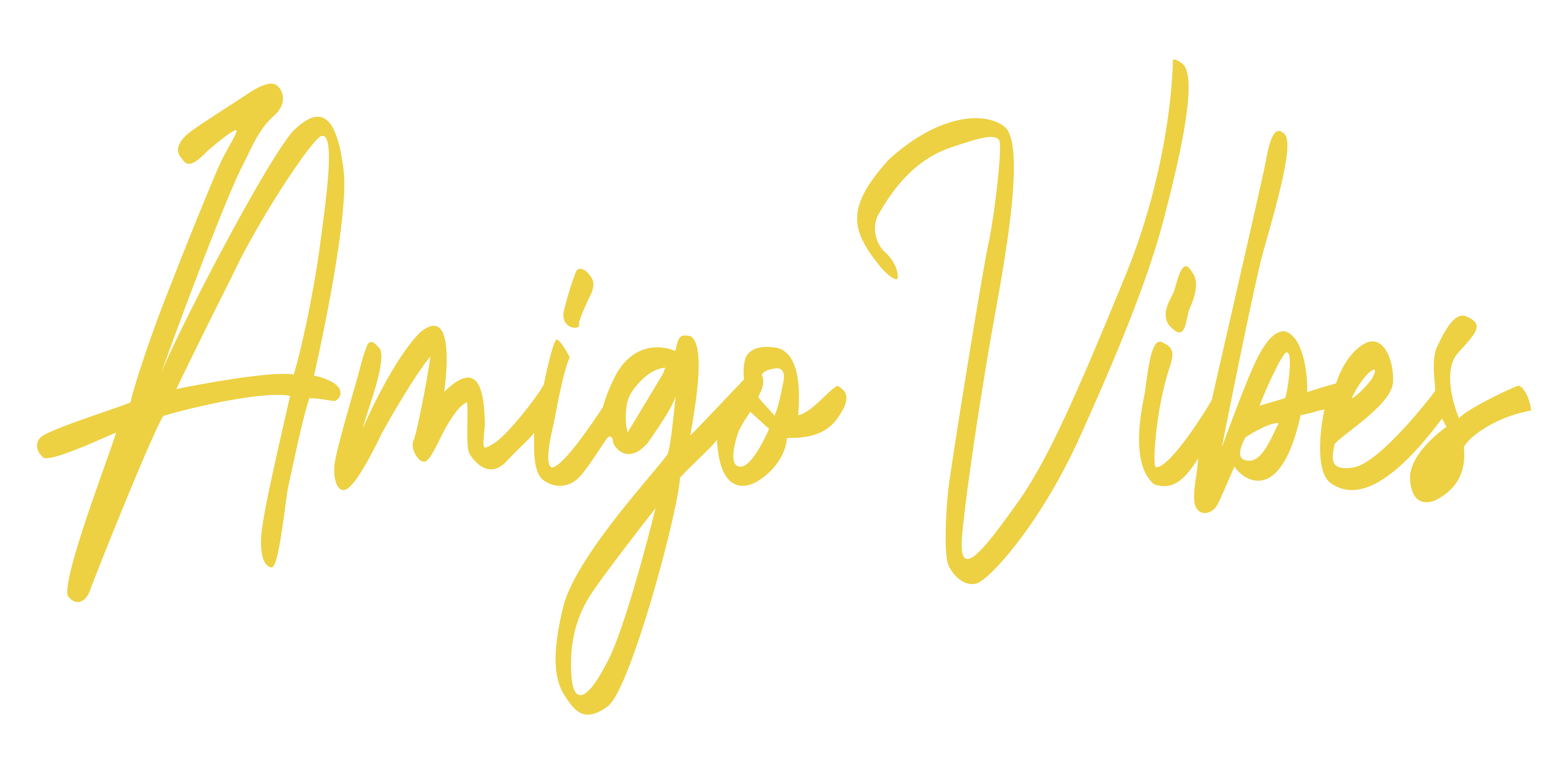 Amigo Vibes PH | Best Event Entertainers